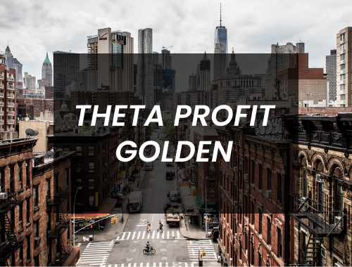 MODELO 2 THETA PROFIT GOLDEN-TXT